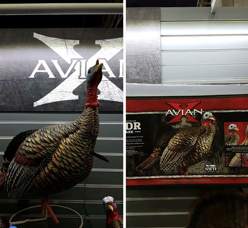 NOUVEL APPELANT MÂLE PAR AVIAN X