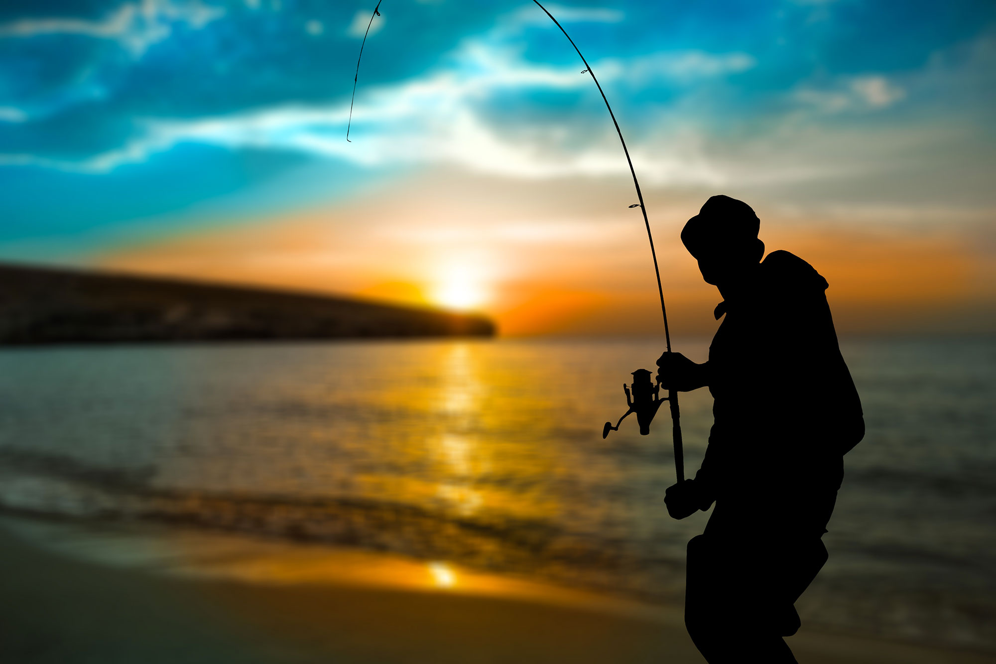 Wild turkey bird hunting packages — Tight Lines Sportfishing – Tight Lines Sportfishing